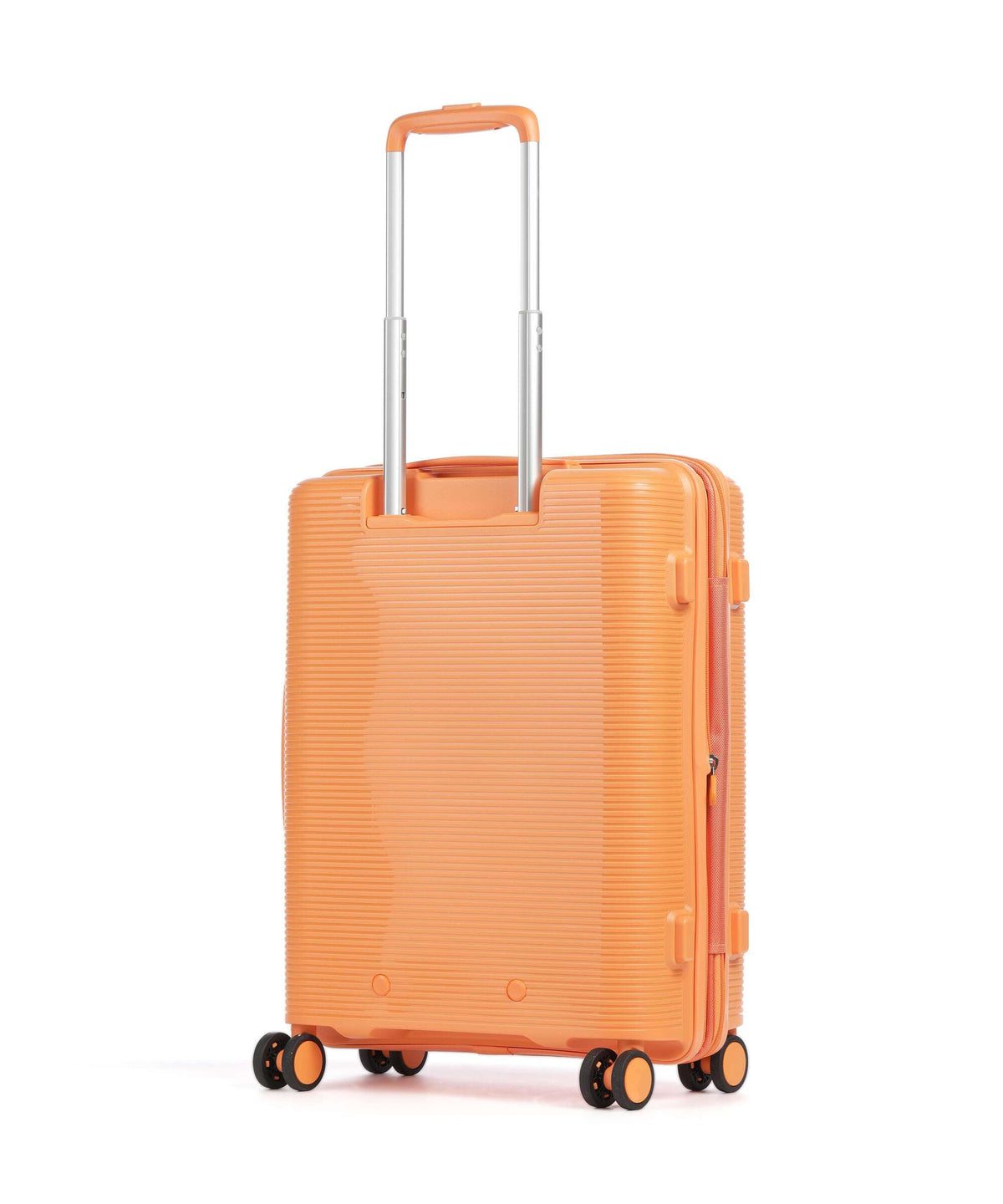 Echolac Forza S Spinner (4 wheels) apricot crush