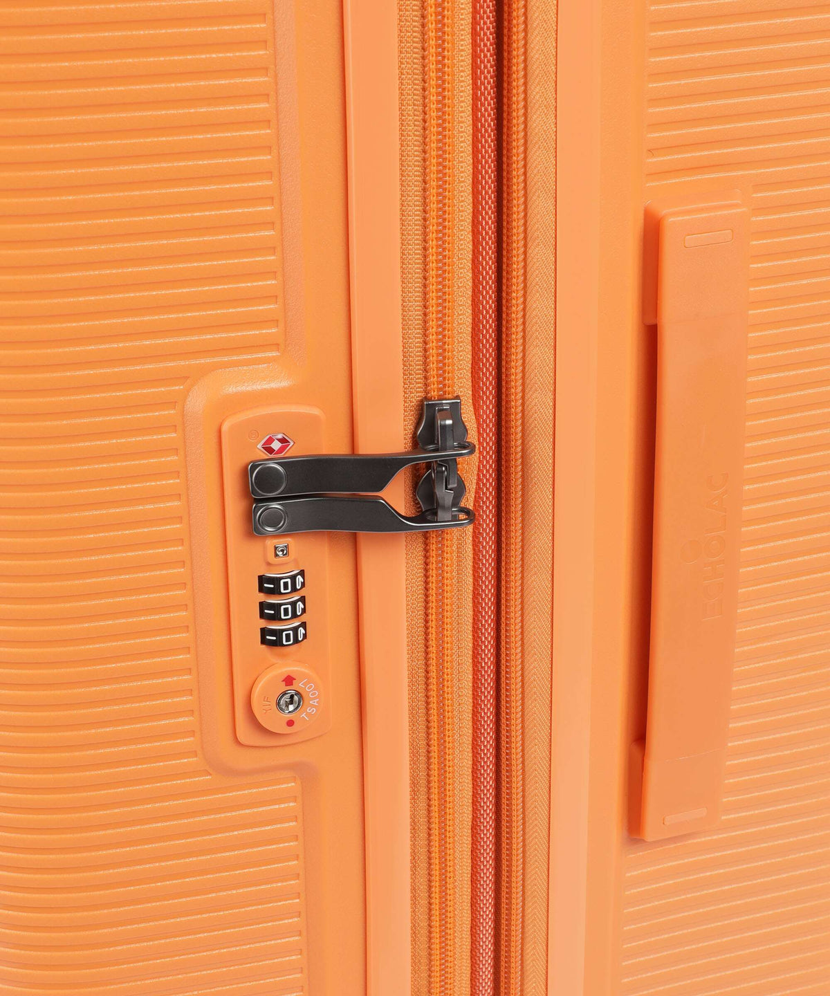 Echolac Forza L Spinner (4 wheels) apricot crush