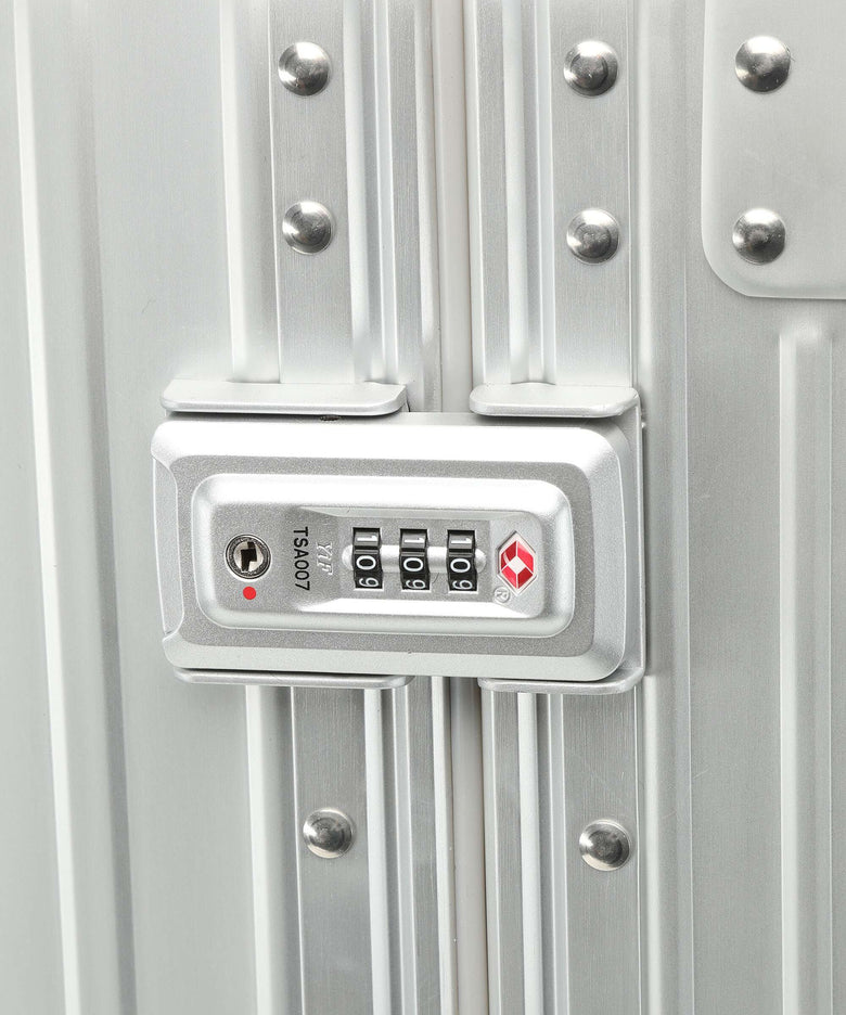 Aleon 30 Macro Traveler Spinner (4 wheels) platinum