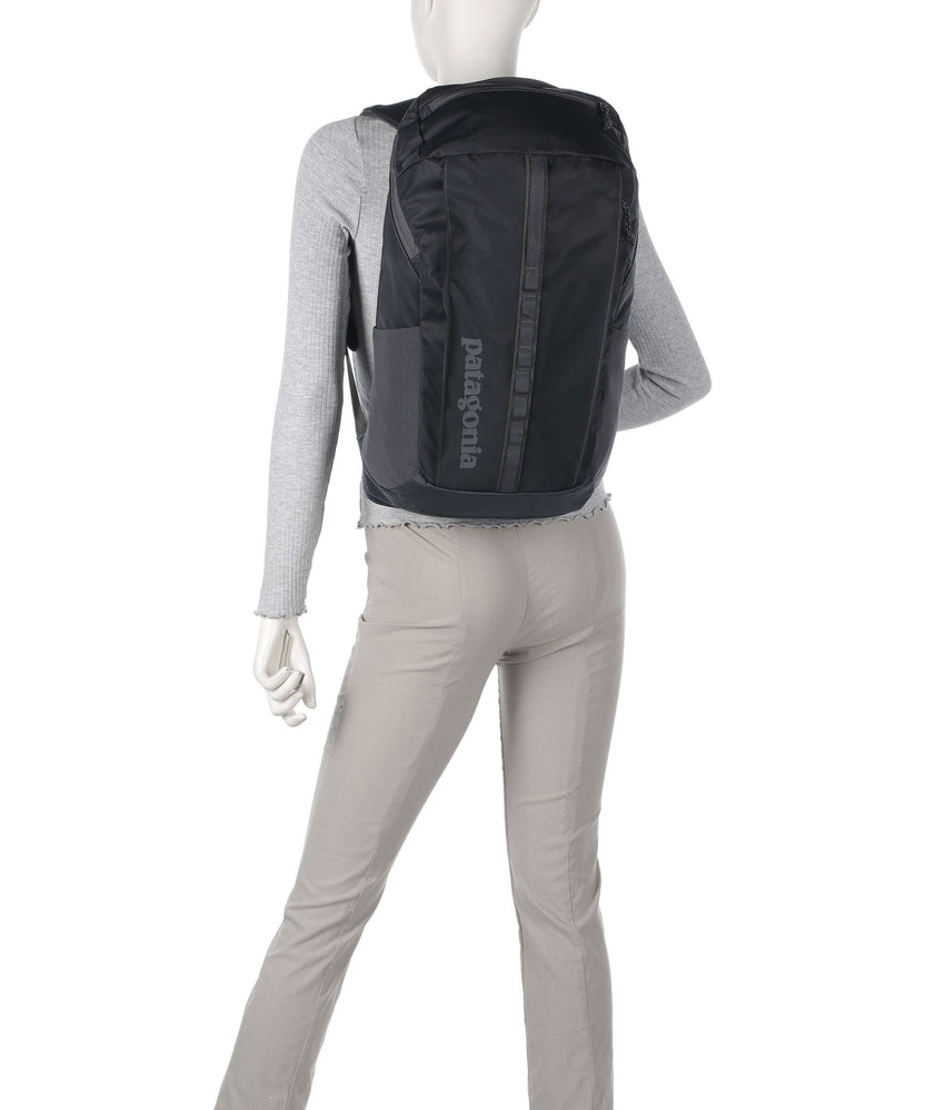 Patagonia Black Hole 25 Backpack brisk purple