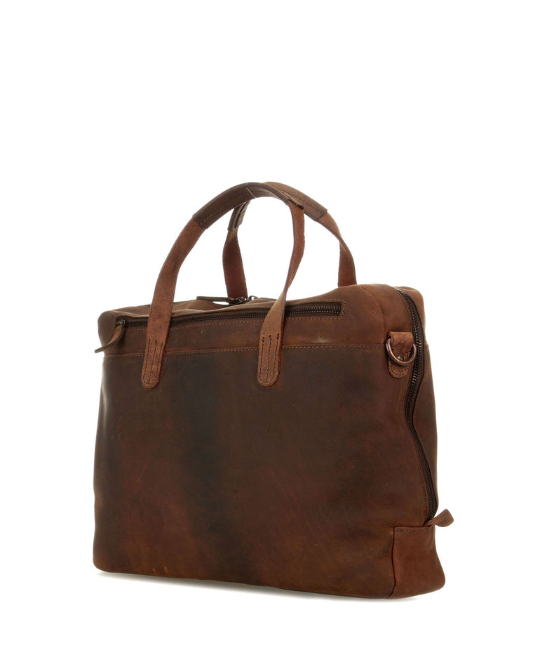 Harold's Antic Briefcase natur