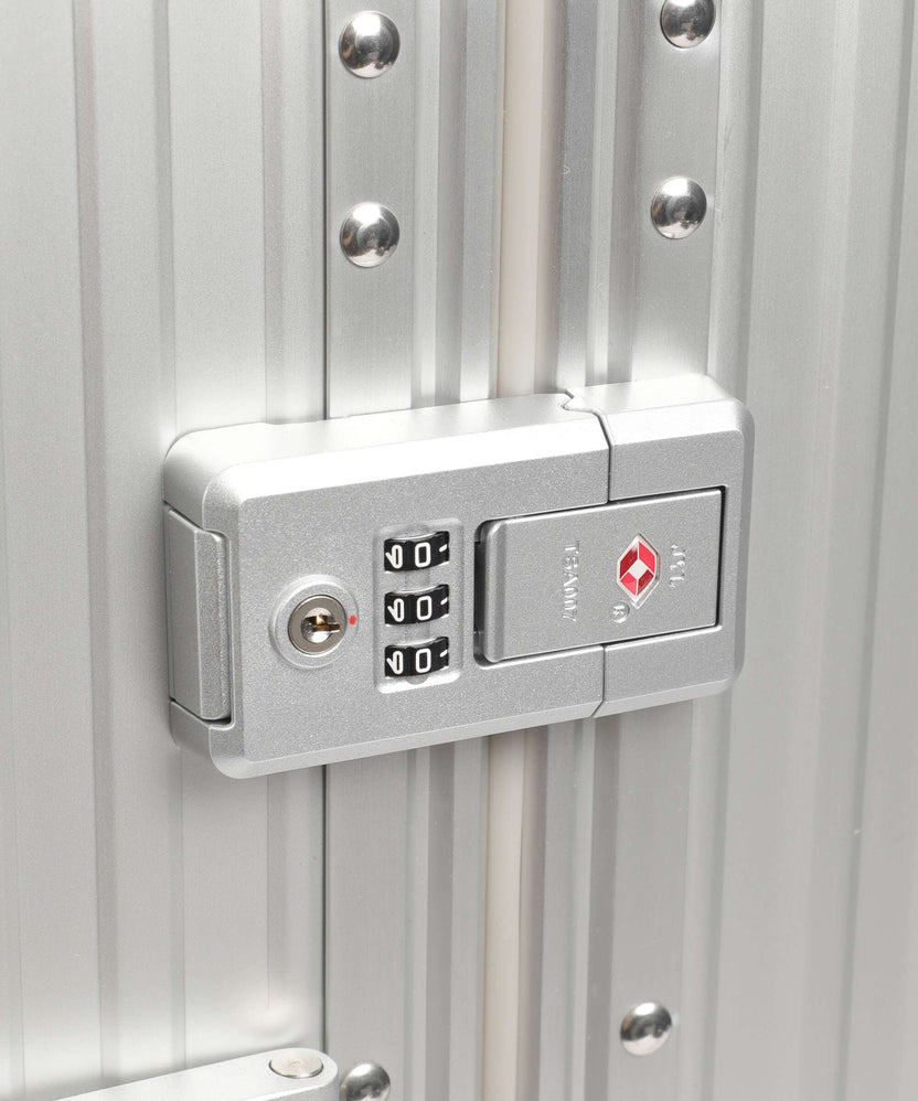 Aleon Classic 21 Domestic Spinner (4 wheels) platinum