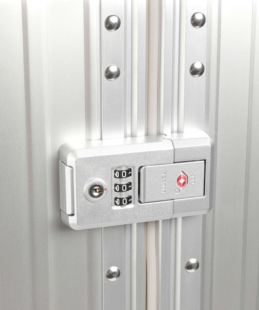 Aleon Classic 30 Macro Traveler Spinner (4 wheels) platinum