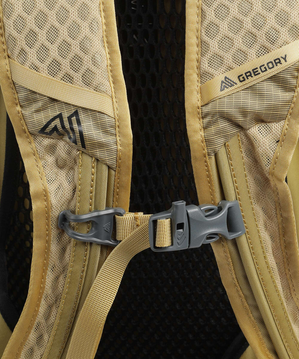 Gregory Arrio 22 RC Hiking backpack amber haze