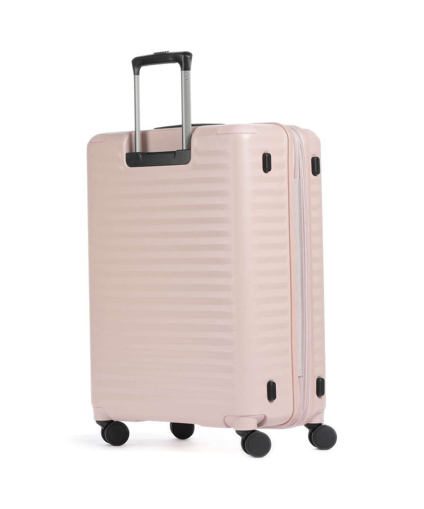 Echolac Celestra BLX M Spinner (4 wheels) pink