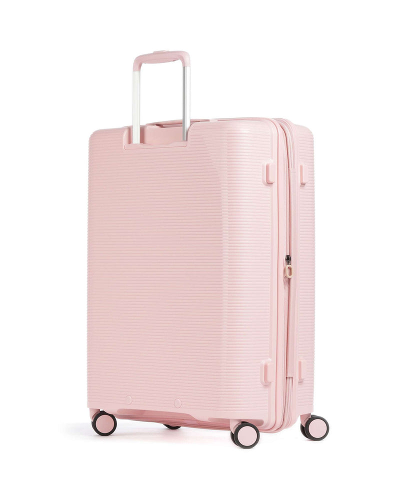 Echolac Forza M Spinner (4 wheels) pink