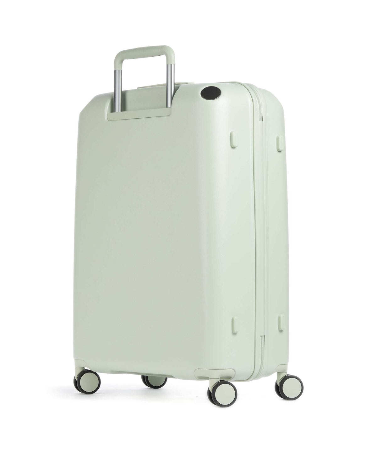 Echolac Panda L Spinner (4 wheels) pistachio green