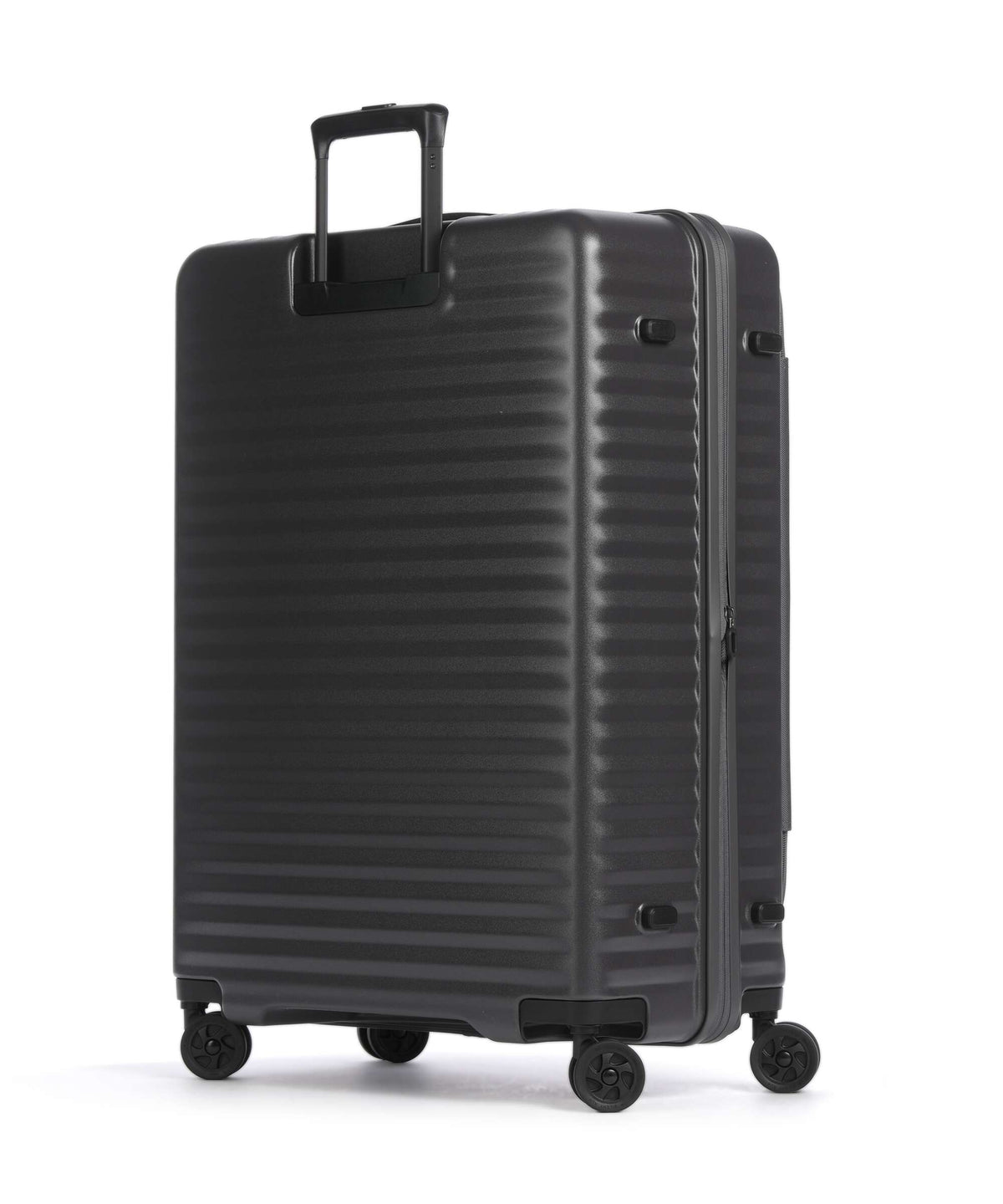 Echolac Celestra FA L Spinner (4 wheels) grey