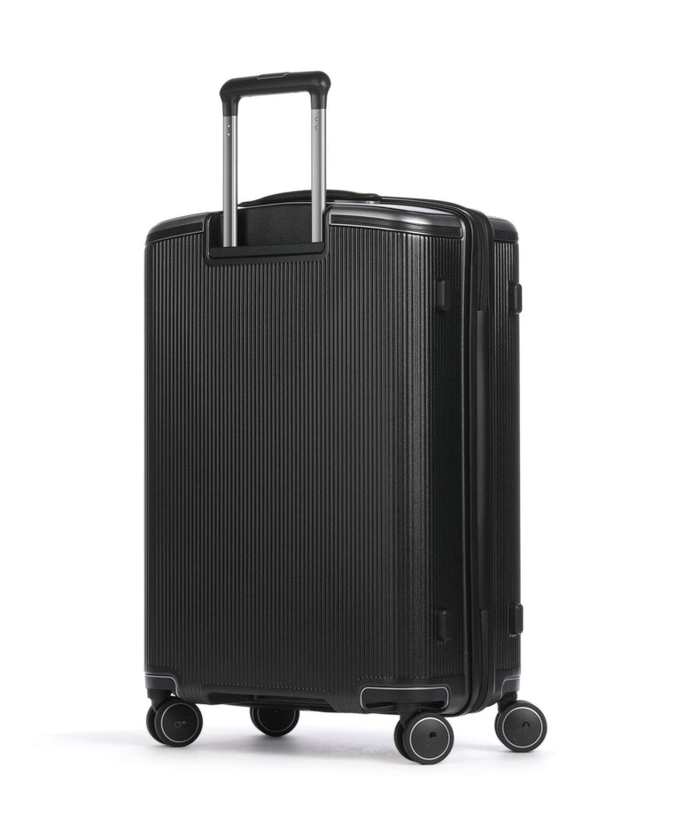 Echolac Dynasty VLX M Spinner (4 wheels) earth black
