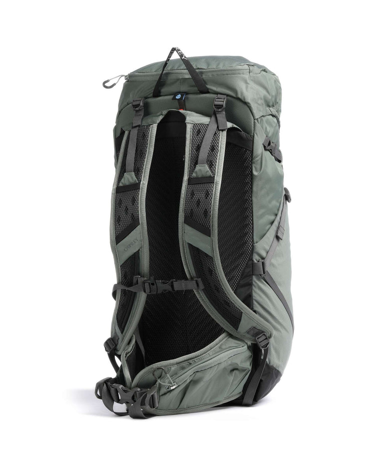 Osprey Sportlite 30 M/L Hiking backpack pine leaf green